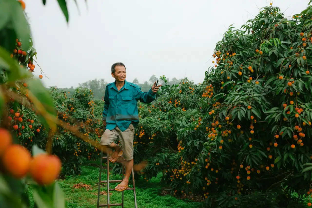 毕节建筑安装工程冬季施工质量管控要点与常见问题处理