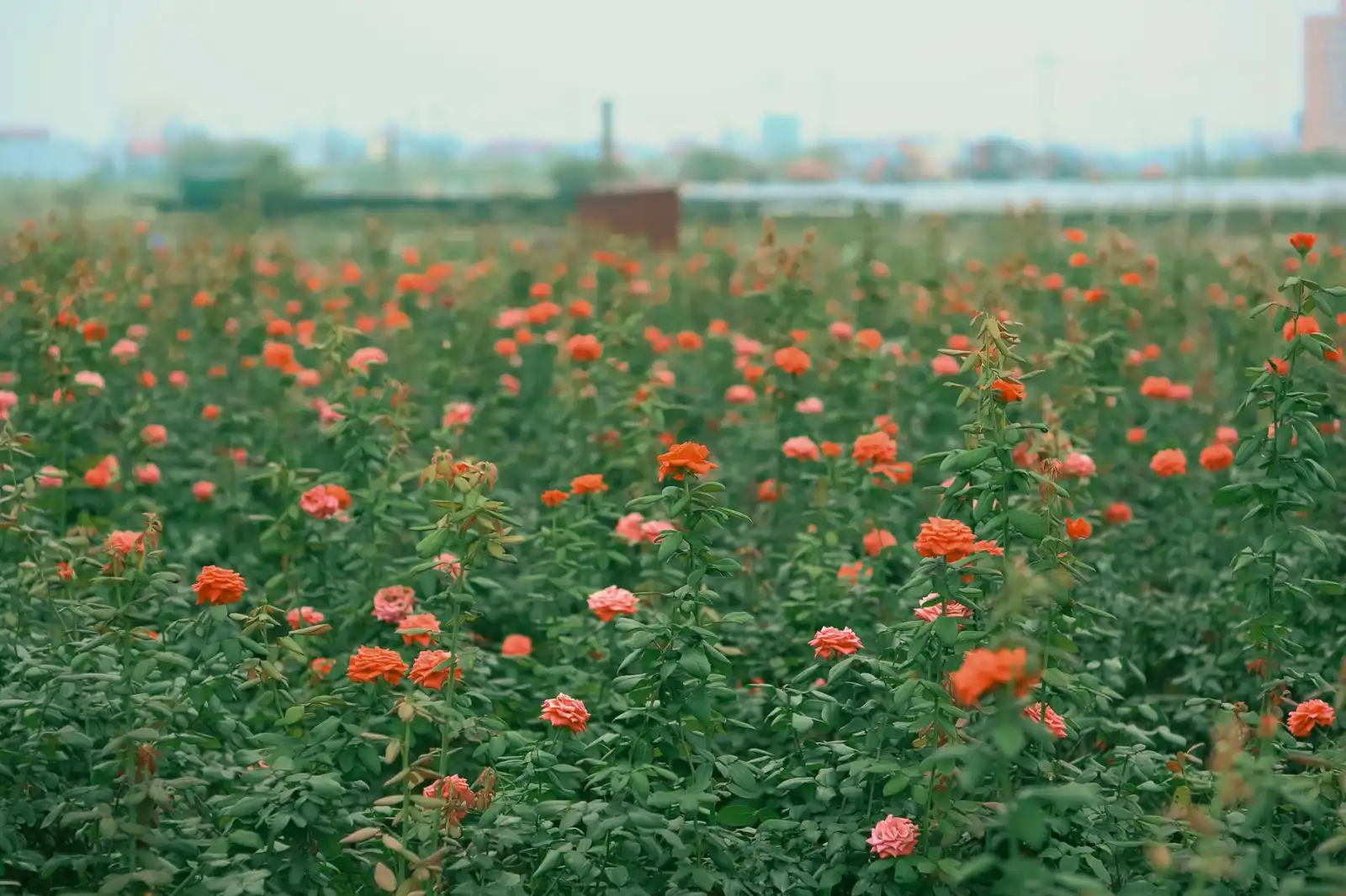 毕节建筑安装工程中机电安装质量控制的三个关键环节