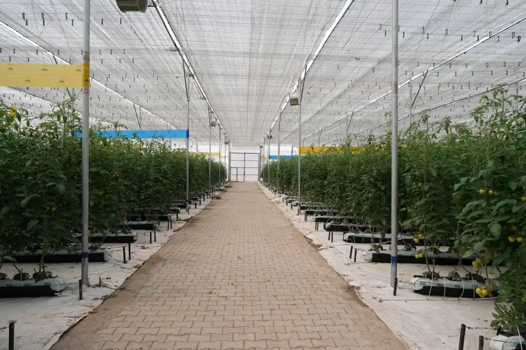 贵州建筑施工企业机电安装技术应用现状与发展趋势