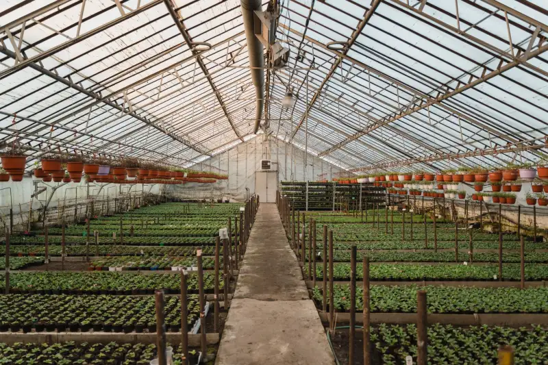 毕节建筑安装企业谈机电安装工程施工中的管线综合排布要点
