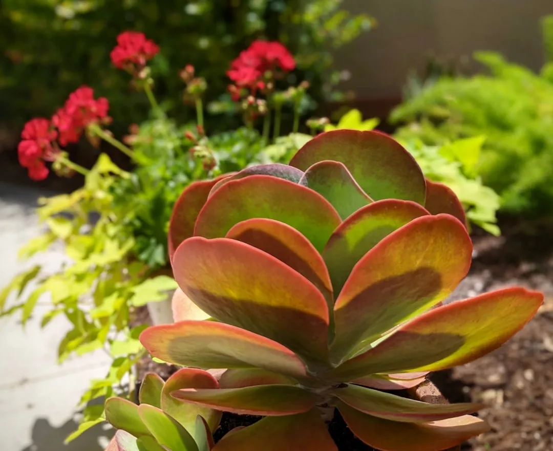 毕节建筑安装工程中机电安装质量管控的关键环节分析